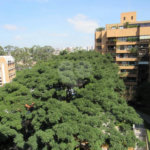 Apartamento à venda com 2 suítes em Vila Progredior, São Paulo, SP