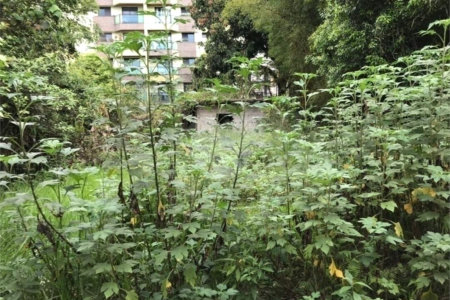 Casa à venda com 2 quartos em Vila Paiva, Suzano, SP