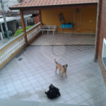 Sobrado à venda com 3 quartos, sendo 1 suíte, em Tremembé, São Paulo, SP