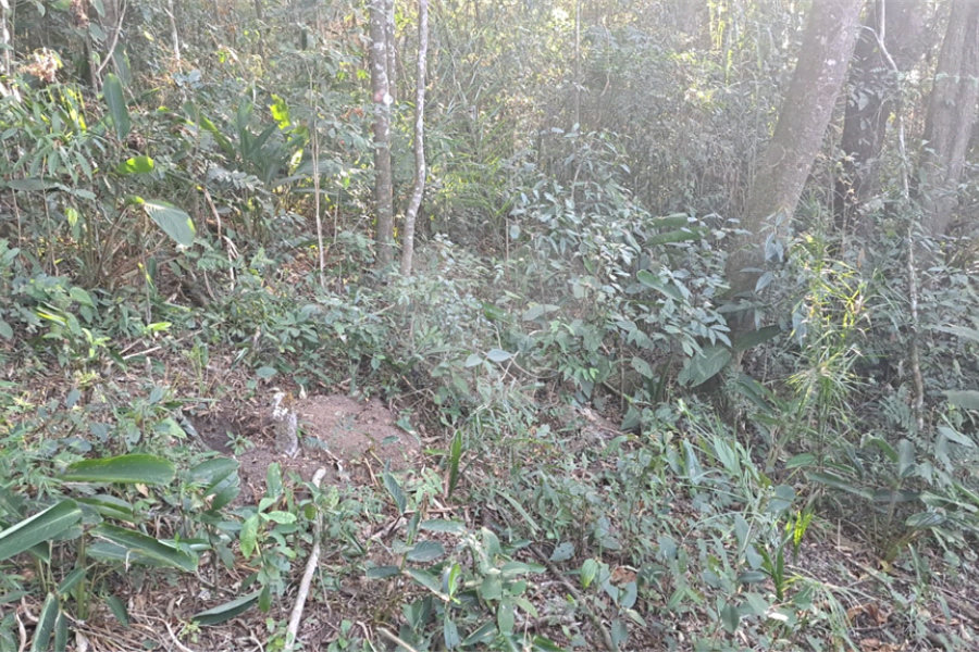 Terreno à venda em Serra da Cantareira, Mairiporã, SP