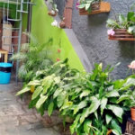 Sobrado à venda com 1 quarto em Casa Verde, São Paulo, SP