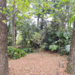 Chácara à venda com 5 quartos, sendo 1 suíte, no Centro (mailasqui), São Roque, SP