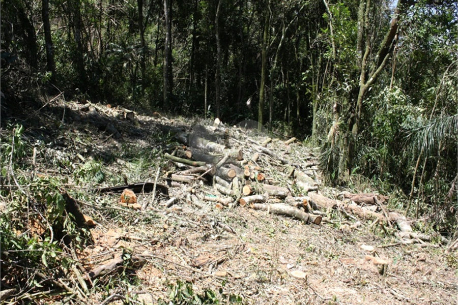 Terreno à venda em Serra da Cantareira, Mairiporã, SP