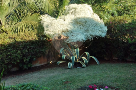 Chácara à venda com 4 quartos, sendo 1 suíte,  em Vila Dom Pedro, Atibaia, SP