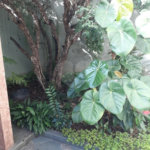 Sobrado à venda com 3 suítes em Santa Teresinha, São Paulo, SP