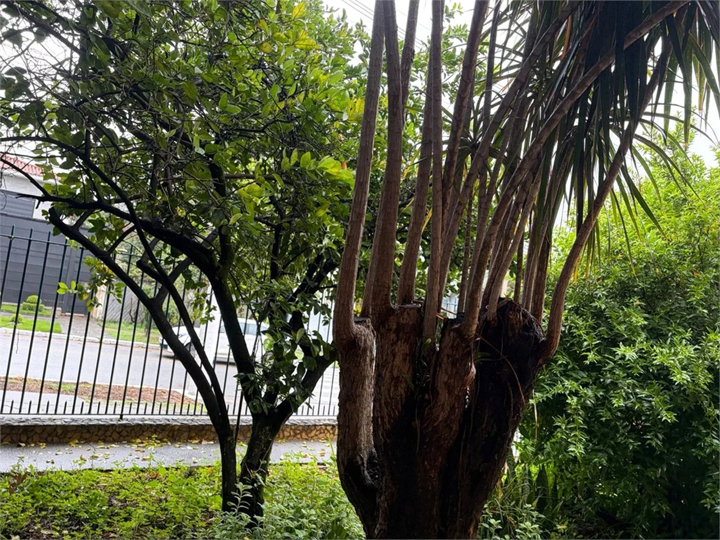Casa à venda com 3 quartos em Bela Aliança, São Paulo, SP