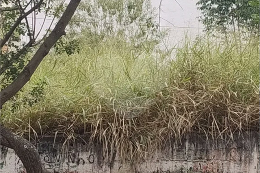 Terreno à venda em Tremembé, São Paulo, SP