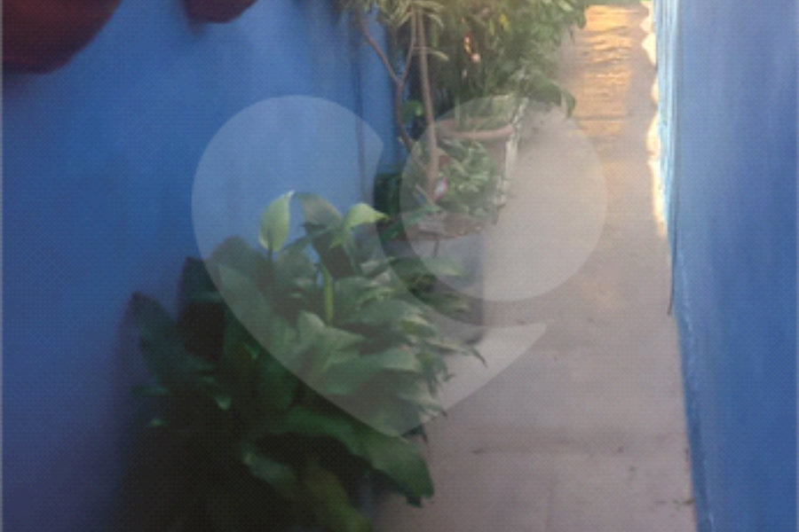 Sobrado à venda com 2 quartos em Vila Maria, São Paulo, SP