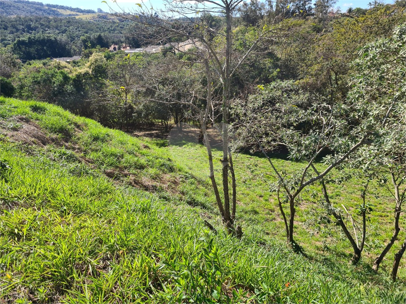 Terreno à venda em Bosque, Vinhedo, SP