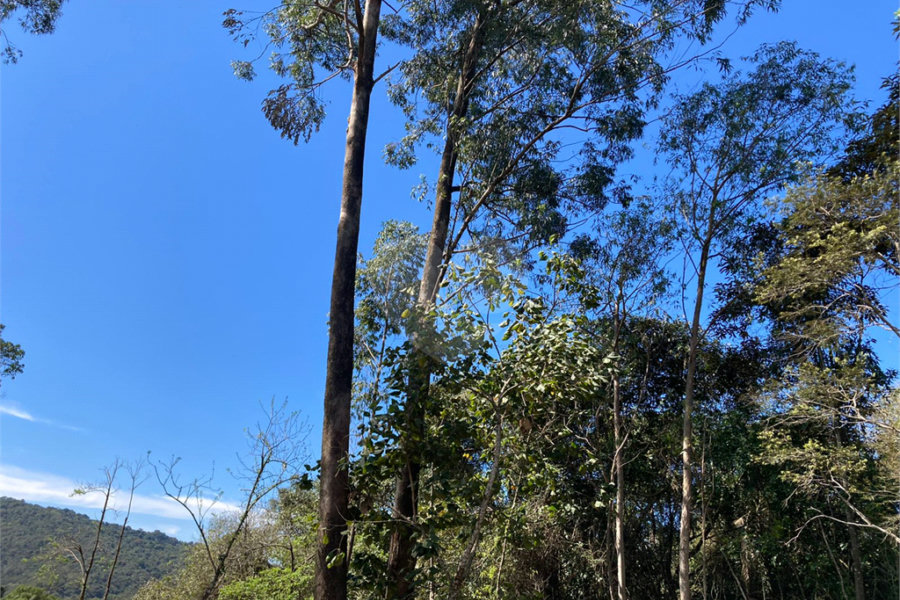 Terreno à venda no condomínio Suíça da Cantareira, Mairiporã - SP