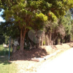 Chácara à venda com 1 quarto no Centro, Vinhedo, SP