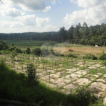 Terreno à venda em Portais (polvilho), Cajamar, SP