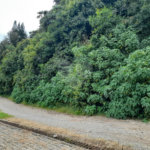 Terreno à venda em Serra da Cantareira, Mairiporã, SP