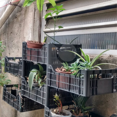 Casa à venda com 1 quarto em Vila Maria Alta, São Paulo, SP