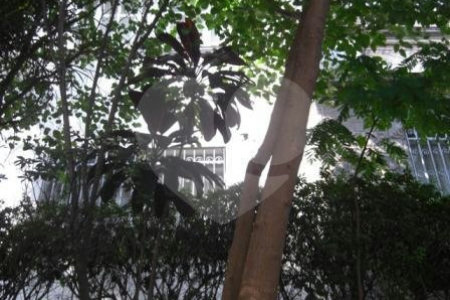 Terreno à venda com 4 quartos em Santana, São Paulo, SP