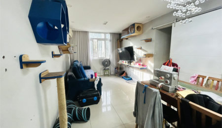 Apartamento à venda com 3 quartos em Rio Comprido, Rio de Janeiro, RJ