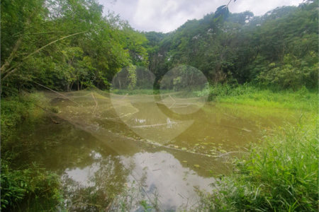 Terreno à venda em Vila Moraes, Mogi das Cruzes, SP