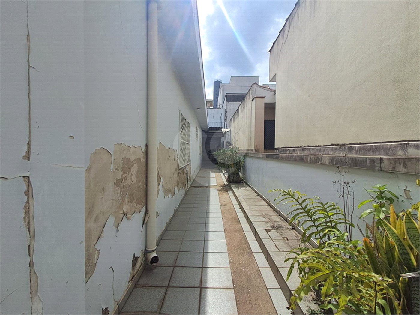 Sobrado à venda com 3 quartos, sendo 1 suíte, em Vila Romana, São Paulo, SP