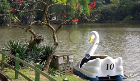Terreno à venda em Horto Florestal, São Paulo, SP