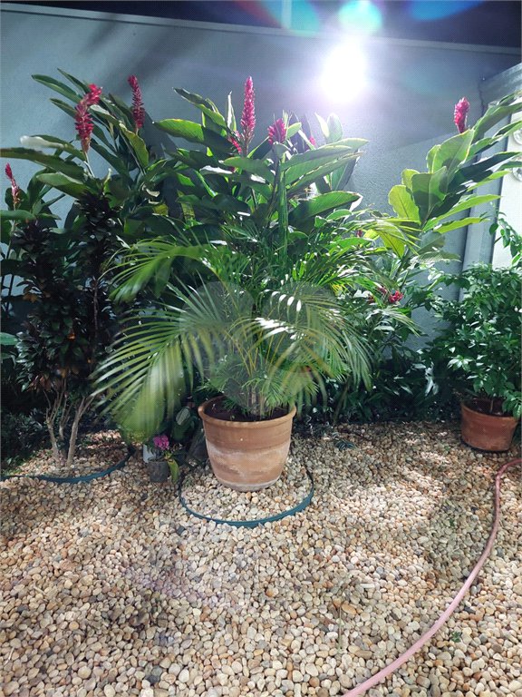 Sobrado à venda com 4 quartos, sendo 3 suítes, em Jardim Paulistano, Ribeirão Preto, SP