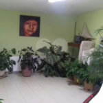 Casa à venda com 3 quartos, sendo 1 suíte,  em Tremembé, São Paulo, SP