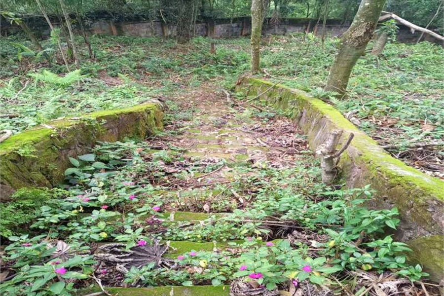Terreno à venda no condomínio Associação Reserva das Hortênsias, Mairiporã - SP