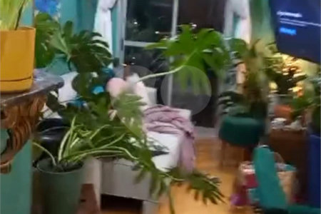 Apartamento à venda com 3 quartos, sendo 1 suíte, em Vila Medeiros, São Paulo, SP