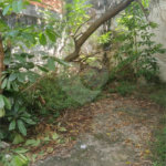 Terreno à venda em Jaçanã, São Paulo, SP