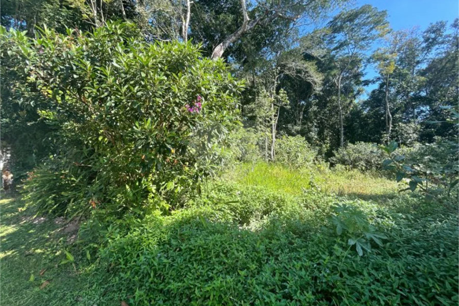 Terreno à venda em Riviera de São Lourenço, Bertioga, SP