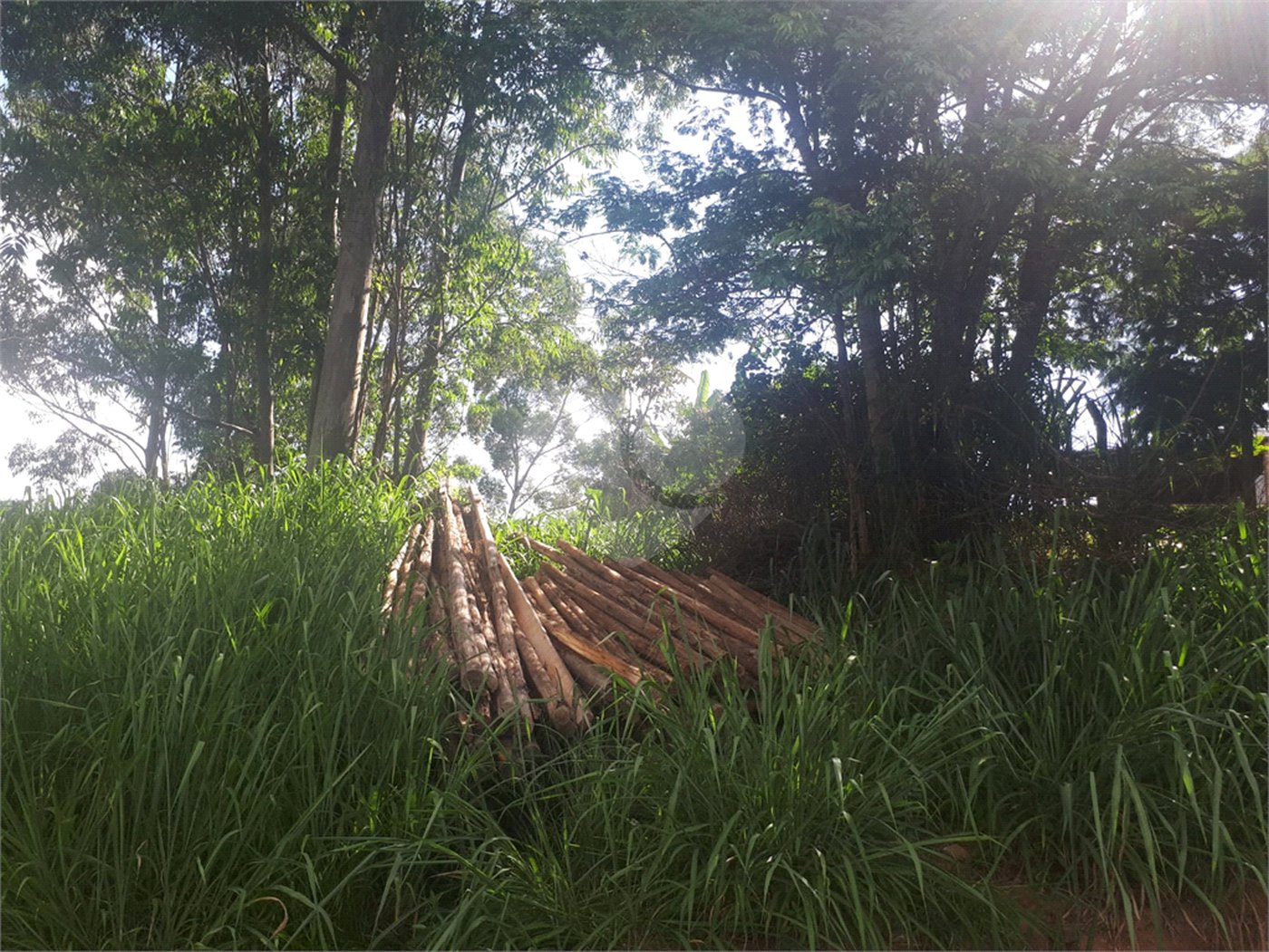 Terreno à venda em Vale Verde, Valinhos, SP