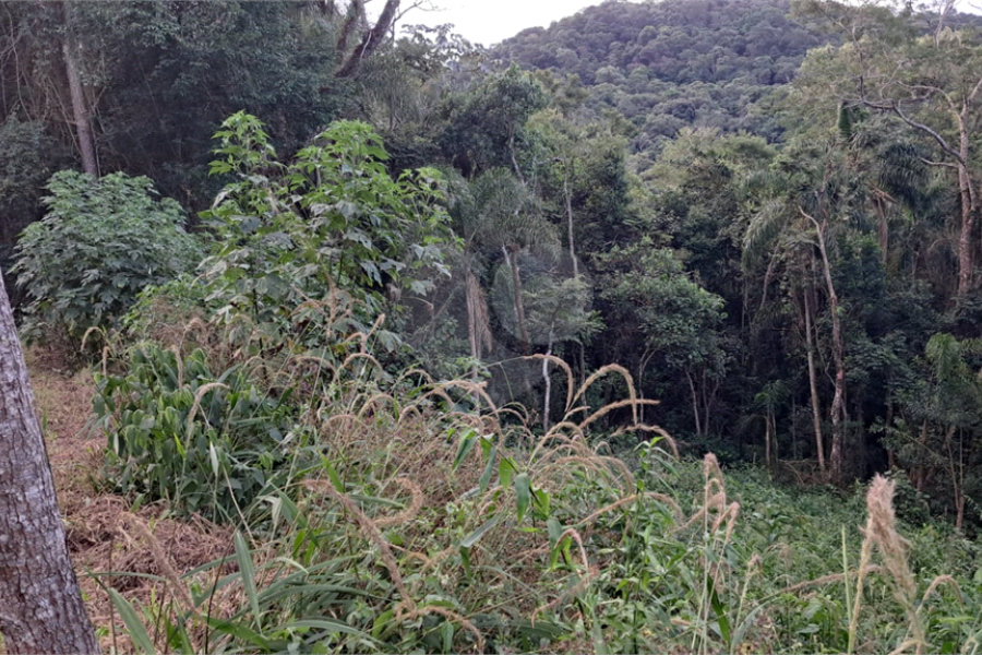 Terreno à venda no condomínio Sausalito, Mairiporã - SP