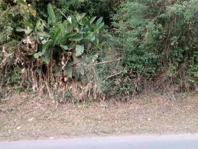 Terreno à venda em Serra da Cantareira, Mairiporã, SP