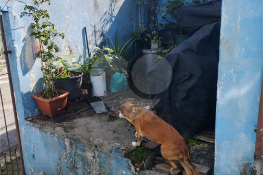 Casa Térrea à venda com 2 quartos em Vila Dom Pedro Ii, São Paulo, SP
