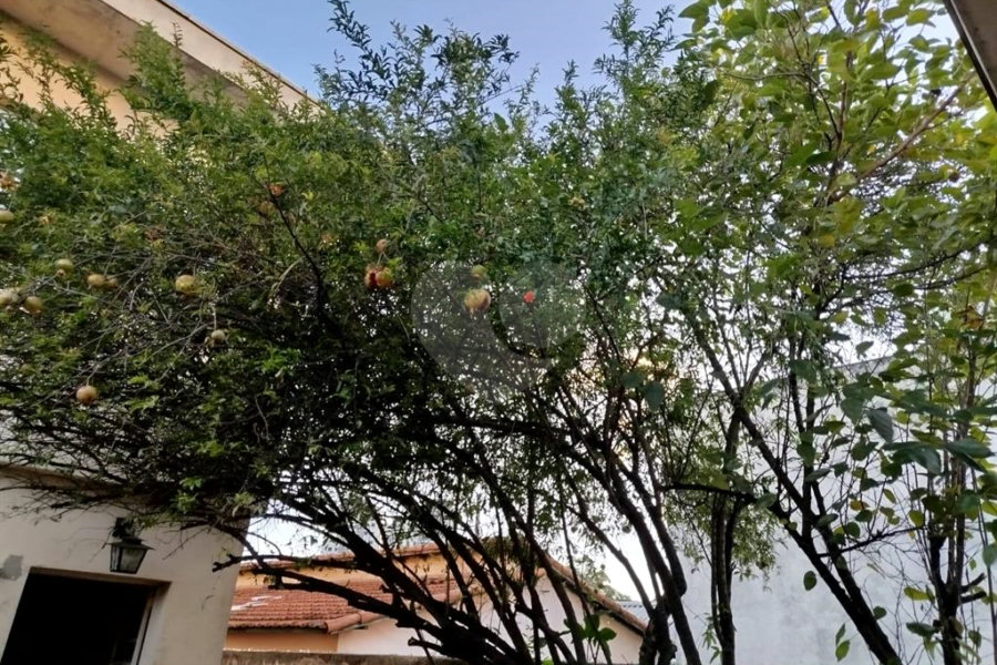 Sobrado à venda com 4 quartos, sendo 2 suítes, em Limão, São Paulo, SP
