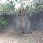 Terreno à venda com 2 quartos em Sapopemba, São Paulo, SP
