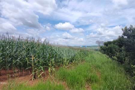 Terreno à venda em Ponte Alta, Atibaia, SP