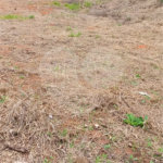 Terreno à venda em Jardim América, Bragança Paulista, SP