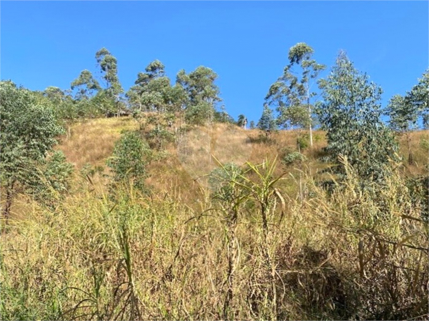 Terreno à venda em Caete (mailasqui), São Roque, SP