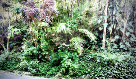 Terreno à venda em Serra da Cantareira, Mairiporã, SP