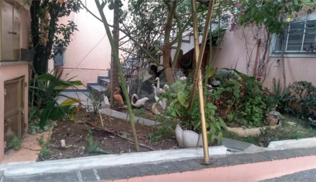 Sobrado à venda com 3 quartos, sendo 1 suíte,  em Tucuruvi, São Paulo, SP