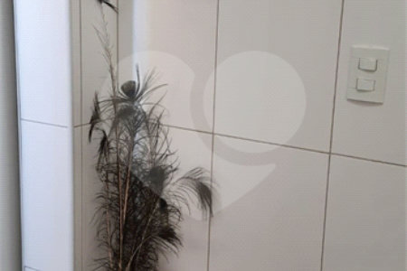 Apartamento à venda com 3 quartos, sendo 1 suíte,  em Vila Pagano, Valinhos, SP