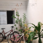 Casa Térrea à venda com 3 quartos, sendo 2 suítes,  em Vila Mazzei, São Paulo, SP