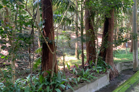Terreno à venda no condomínio Chácara Flora, São Paulo - SP