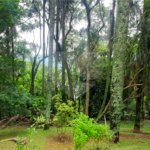 Casa à venda com 4 quartos, sendo 2 suítes, no condomínio Associação Reserva das Hortênsias, Mairiporã - SP
