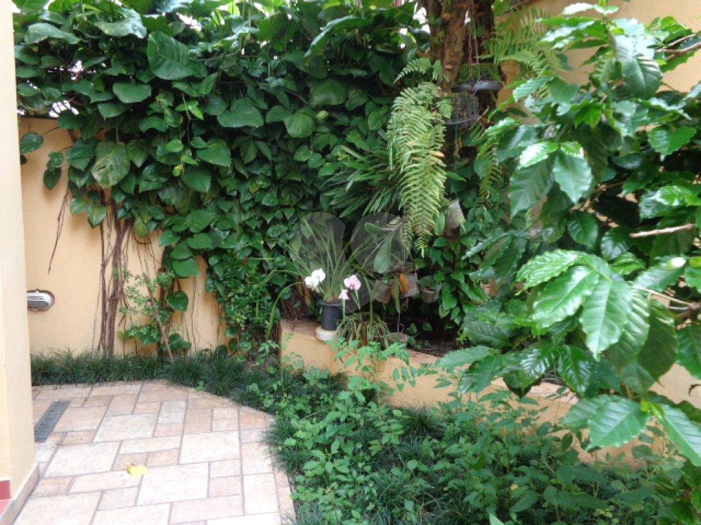 Casa à venda com 2 suítes em Jardim Olympia, São Paulo, SP
