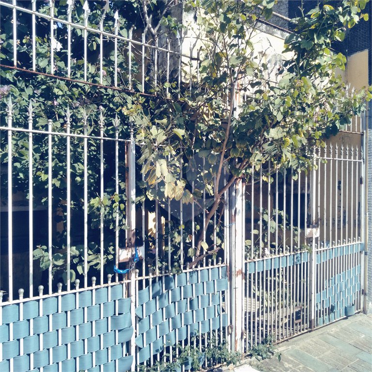 Casa Térrea à venda com 2 quartos em Vila Nova Cachoeirinha, São Paulo, SP