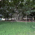 Casa à venda com 4 suítes no condomínio Quinta da Primavera Rp, Ribeirão Preto - SP
