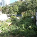 Terreno à venda ou para alugar em Água Fria, São Paulo, SP
