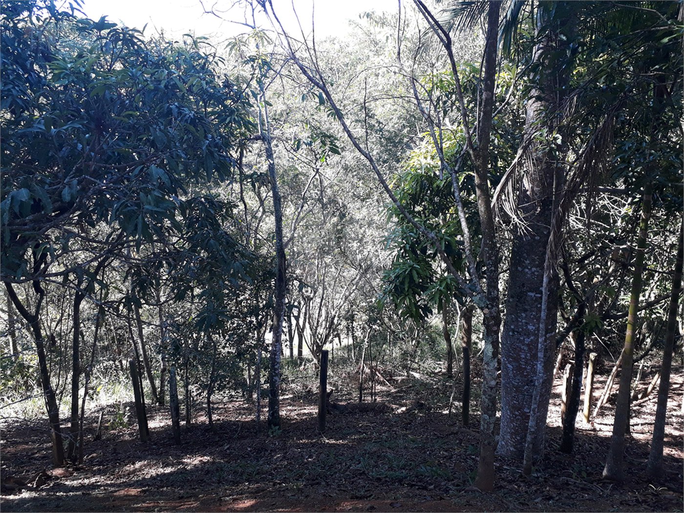 Sítio à venda com 9 quartos, sendo 7 suítes, no Centro, Monteiro Lobato, SP