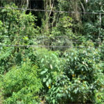 Terreno à venda no condomínio Parque Imperial da Cantareira, Mairiporã - SP